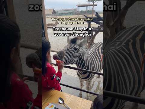 Nantong Sendi Treehouse Hotel