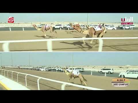 ش 6 الخنجر (ناصي) لـ جارالله حمد محمد المري 11:54:03  مهرجان الأمير الوالد 2026/2/10 ثنايا الشحانية