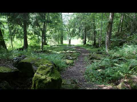 Himmelske Fader (Swedish hymn 339)