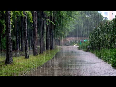 Overcome Insomnia with 10 Hours of Cool Rain Sounds - Refreshing Natural White Noise, Stress Relief