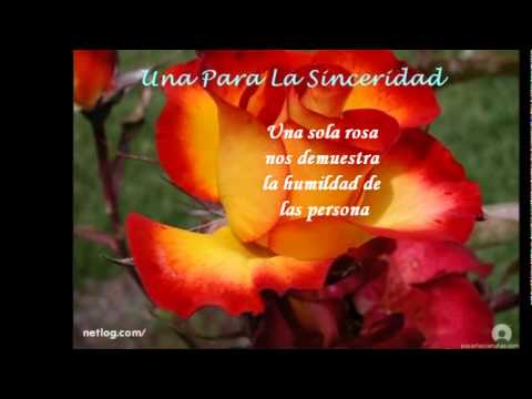 Todo sobre los gladiolos | Plantas Todo sobre los gladiolos | Plantas