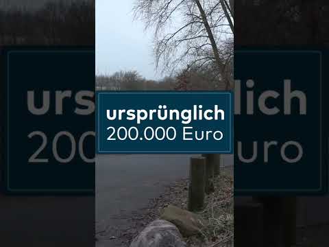 TEURER TUNNEL: Bittere Erkenntnis in Hamburg - Kröten können Kohle kosten | WELT #shorts