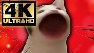 Popcat but 4K and 60fps