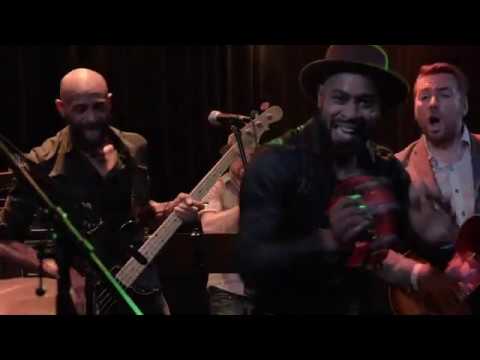 The New Mastersounds  "Shake It"