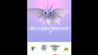 モルフォン ポケットモンスター フラエッテ ツタージャ ドレディア モルフォン ポケットモンスター フラエッテ ツタージャ ドレディア