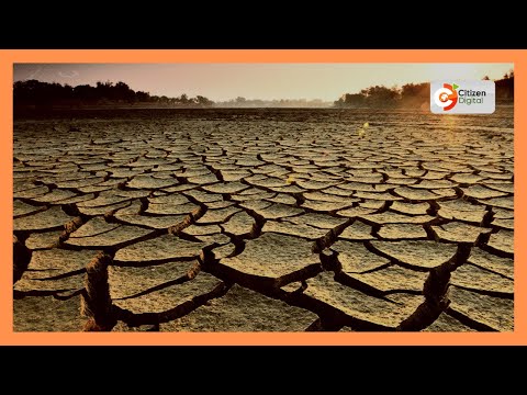 Serikali imeanza zoezi la kusambaza chakula cha msaada Garissa