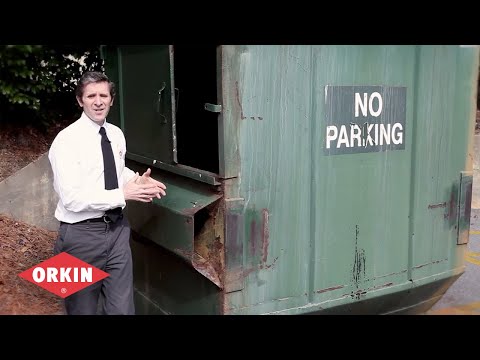 Improve Your Dumpster Defense - Orkin for Your Business