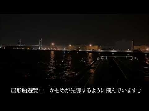 横浜発の屋形船すずよし｜貸切船・乗合船で横浜をクルージング