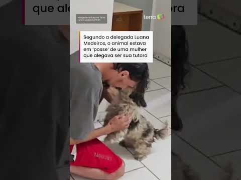 Cachorrinha é devolvida ao verdadeiro tutor após teste da Polícia Civil em delegacia do RS #Shorts