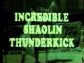 Incredible Shaolin Thunderkick Trailer