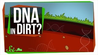 Is There DNA in Dirt?