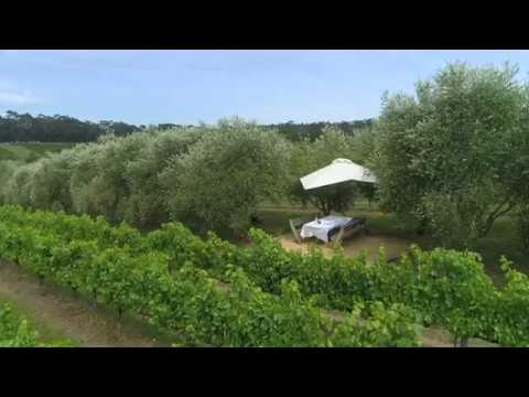 The Picnics at Montalto