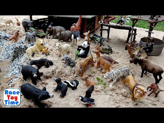 Vídeo relacionado con Schleich Wild Life | León rugiente 14726 | Figura de Animal con Gran realismo | Regalo para niñas y niños | decoración para cumpleaños | Figura a Partir de 3 años | 11 x 5 x 7 cm