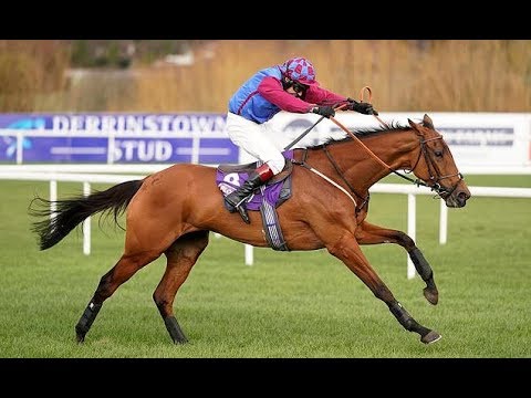 La Bague Au Roi crowns excellent weekend with Flogas Novice Chase victory