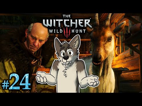 PRINCESS AND THE PELLAR || THE WITCHER 3 Let's Play Part 24 (Blind) || THE WITCHER 3 Gameplay