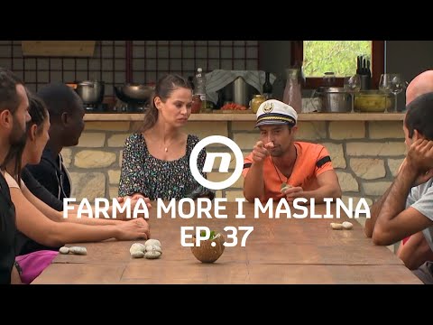 Josip razotkrio klan na Farmi? - Epizoda 37 | Farma More i Maslina