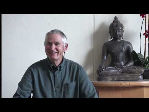 Seeing the Sense of Self - Gil Fronsdal