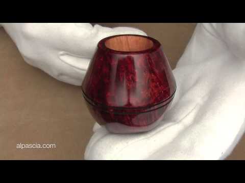 pipa Ser Jacopo Delecta L1 - pipe 527