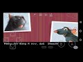 Ratatouille GBA Intro