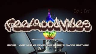 Sophie - Just Like We Never Said Goodbye (KANINE BOOTLEG)