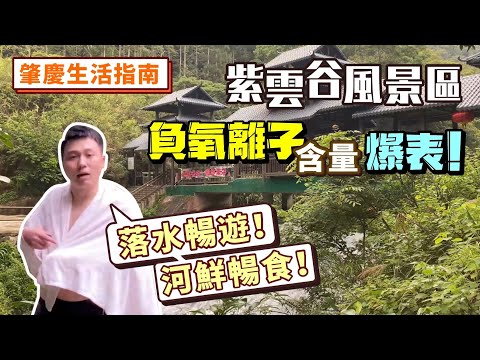 肇慶生活指南 紫雲穀風景區 負氧離子含量爆錶！清心洗肺嘅養生勝地 茶餘飯後好去處【中居地產-灣區生活資訊】