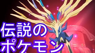 ゼルネアス ポケットモンスター ピカチュウ キバニア カメテテ ゼルネアス ポケットモンスター ピカチュウ キバニア カメテテ