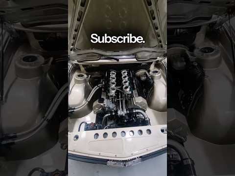 Thumbnail for We Found the Best Sounding BMW E28 by BMW E28