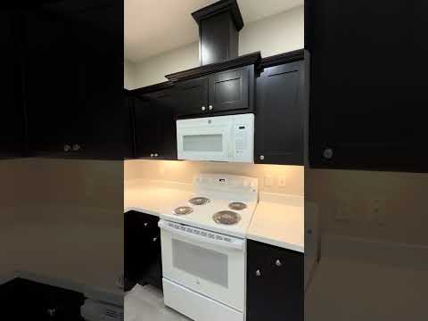 Lot 6 - Video 2 of 2