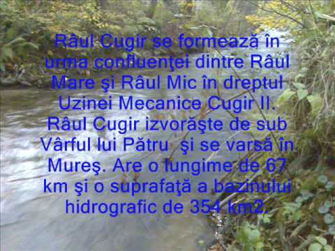 Cugir - Prezentare Generala