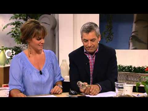 Se höjdpunkter från 25 år med TV4