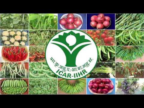 Impact of ICAR-IIHR Technologies Stakeholders' Perception