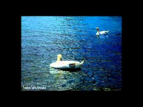 Naroden Orkestar na MRTV