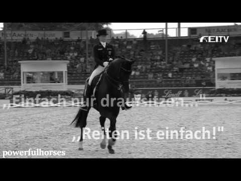 Reiten ist gefährlich! | Powerfulhorses