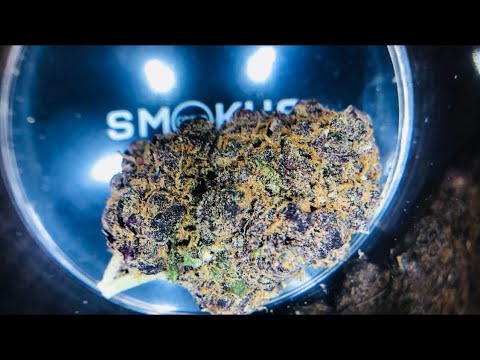 download lagu mp3 mp4 Feels Good Coffee Shop, download lagu Feels Good Coffee Shop gratis, unduh video klip Feels Good Coffee Shop