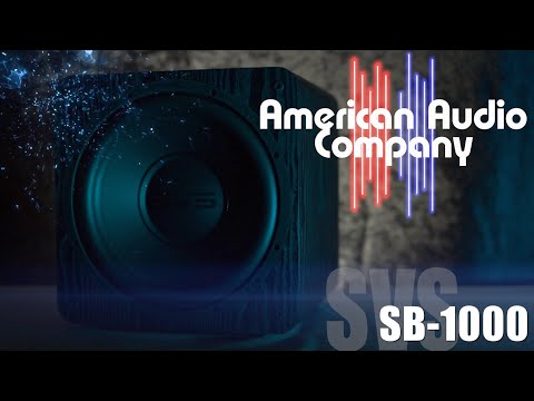 Intro to the SVS SB1000 Subwoofer. It packs a punch !