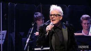 HORSE, Never Not Going To DVD Trailer