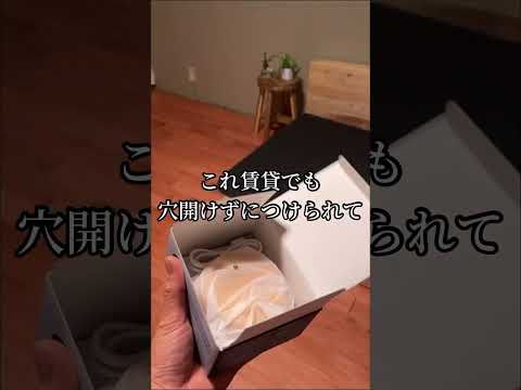 過去イチ便利だった間接照明 #一人暮らし #賃貸 #インテリア #diy #shorts
