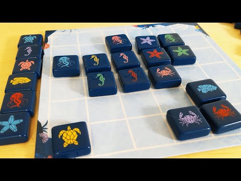 Aqualin Play-Along Tutorial