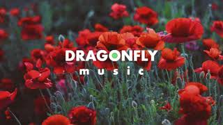 Ehrling - Mood | 1 Hour Version