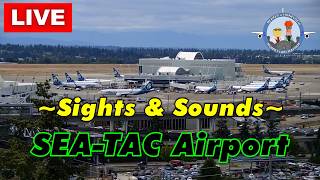 LIVE 24/7 - SEA-TAC Airport (SEA) live webcam