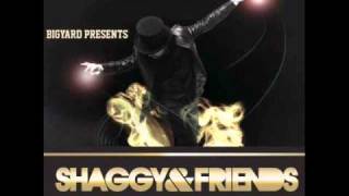 Too Cute - Shaggy featuring Ty-Arie