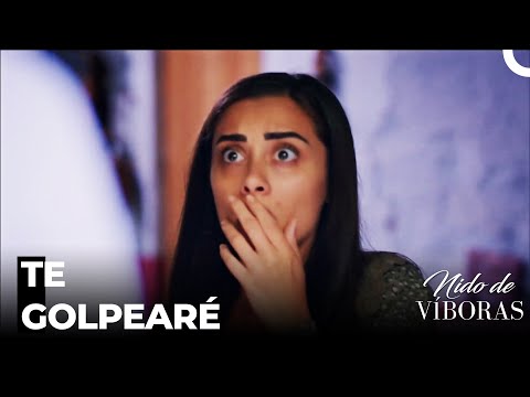 Estalló Una Pelea En La Mansión - Nido De Víboras