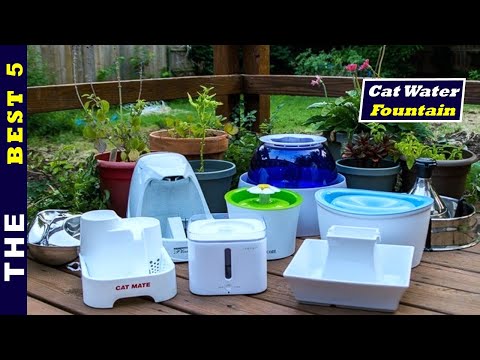 ✅ Top 5: Best Cat Water Fountain Easy To Clean 2021 [Tested & Reviewed]