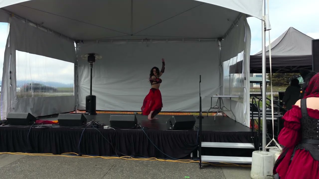 Promotional video thumbnail 2 for Alea Bellydance