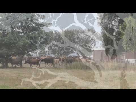 100% Pure - Bad Timing