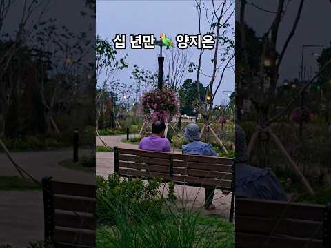 #위로가되는#십년만한소절 #십년만#양지은#감성뮤비