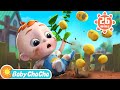 One Potato Two Potatoes Counting Song More Baby ChaCha Nursery Rhymes Kids Songs