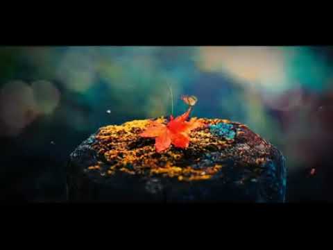 MAG SAMBAHAYANG SA' NAKASUD PA NARKA - By Ustadz Dhikri Dansalan