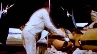 LOBOTOMIZER - Drunked version