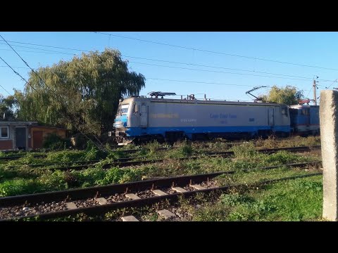 Marfar Cargo Trans Vagon cu Transmontana 007